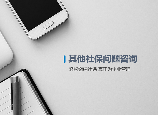 其他社保問(wèn)題咨詢